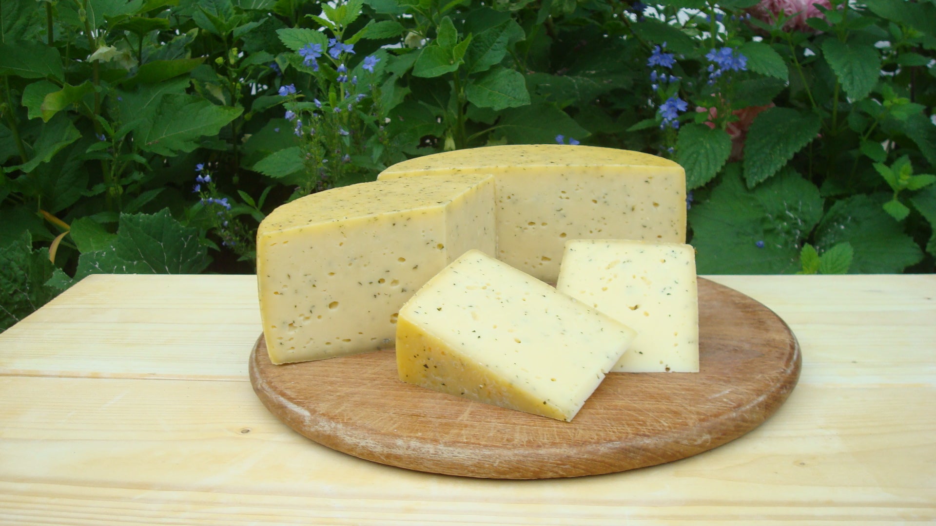 Goldacher Basilikum-Knoblauch