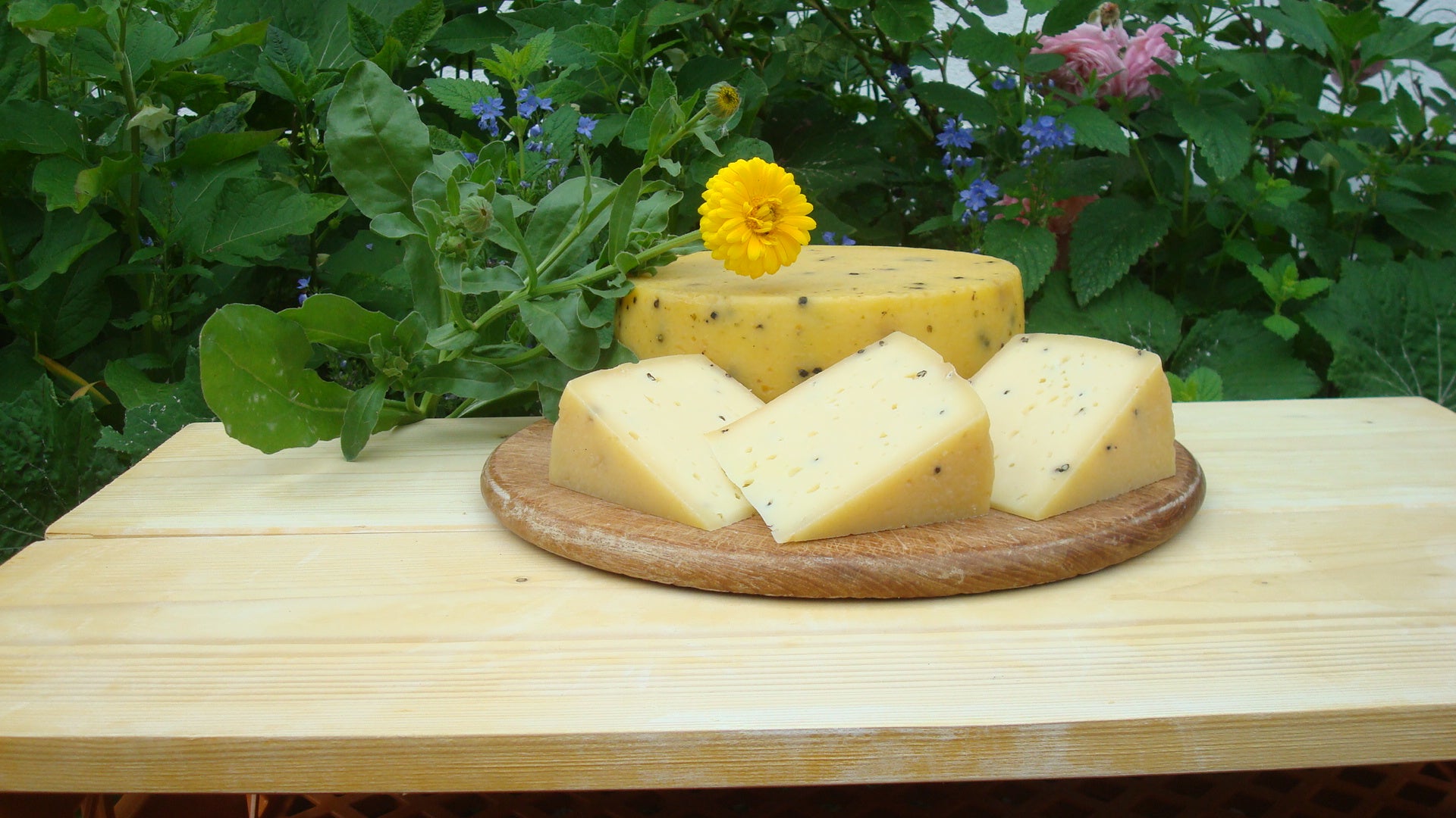 Goldacher Pfefferkörner