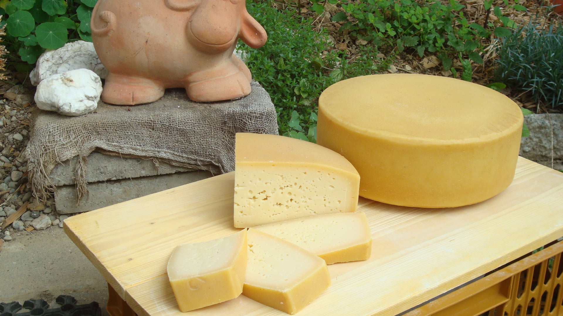 Hodersberger Bergkäse