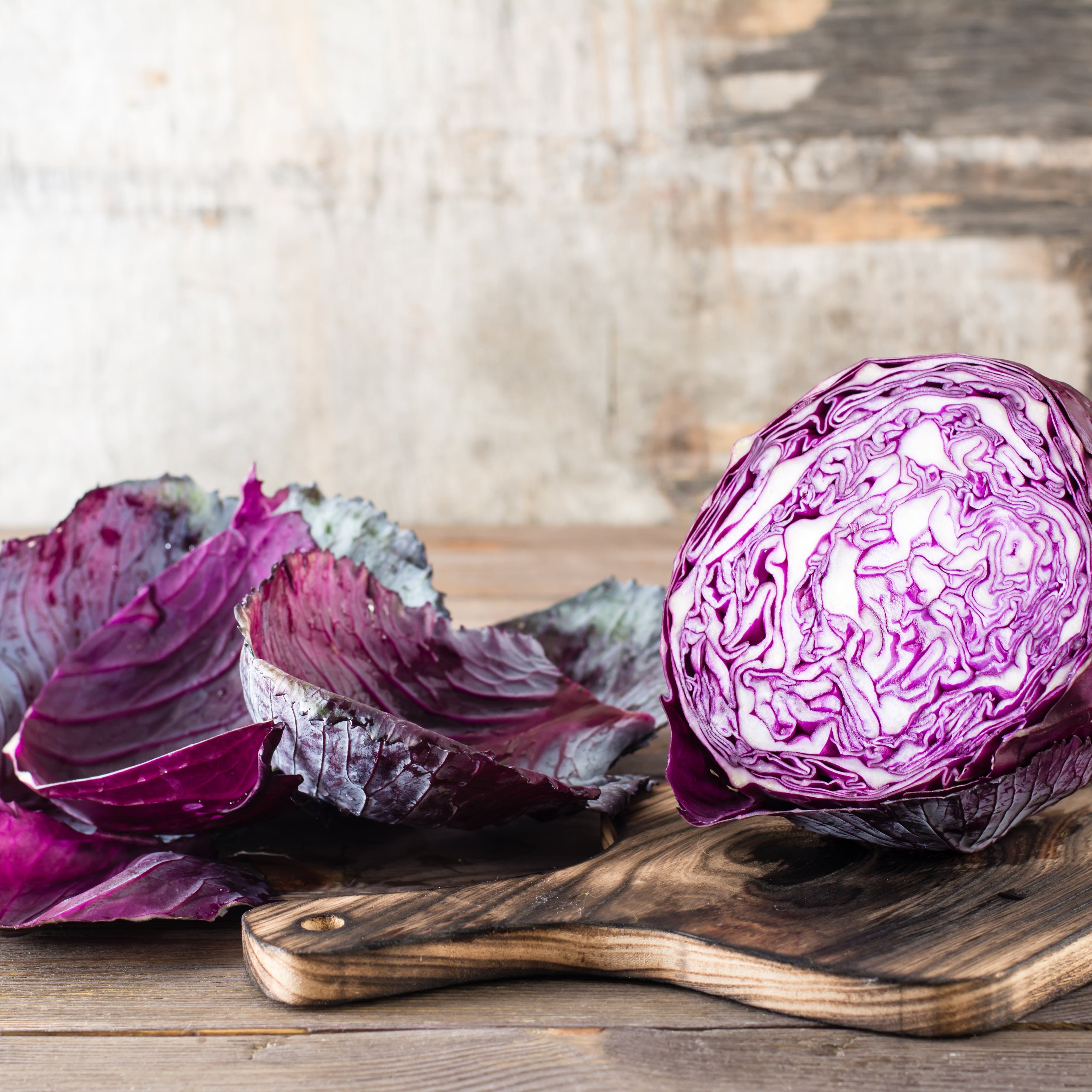 Frischer Rotkohl aus eigenem Anbau